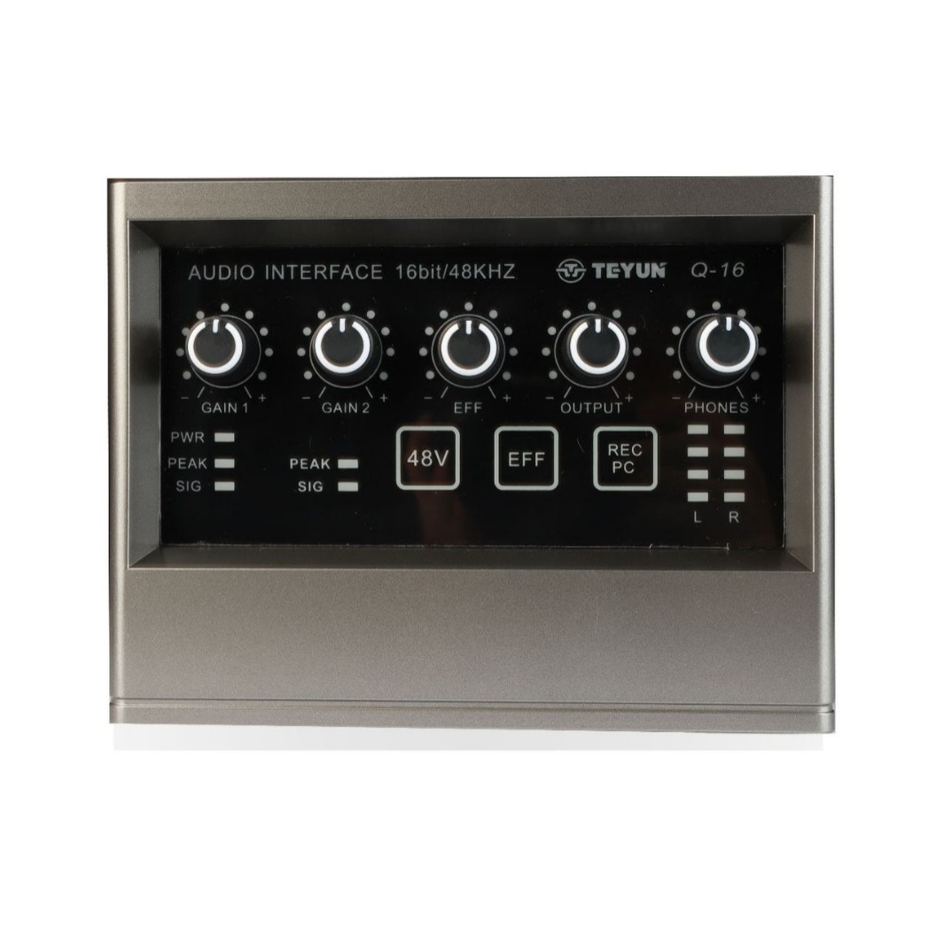 Professional Recording Sound C - Song With Musical Instrument recension och pris