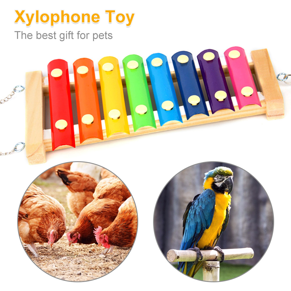 Bird Chicken Xylophone Toy Woo - Musical Instrument Harmonium recension och pris