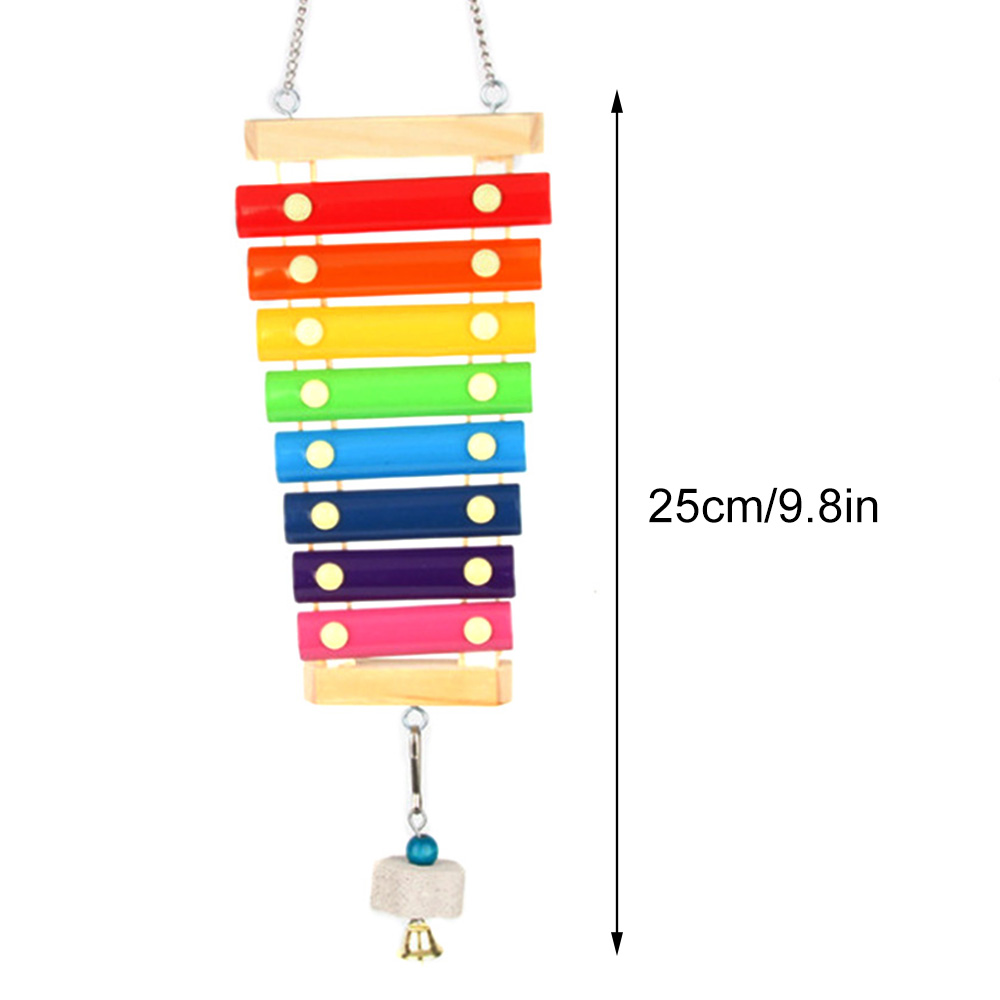 Bird Chicken Xylophone Toy Woo - Musical Instrument Harmonium recension och pris