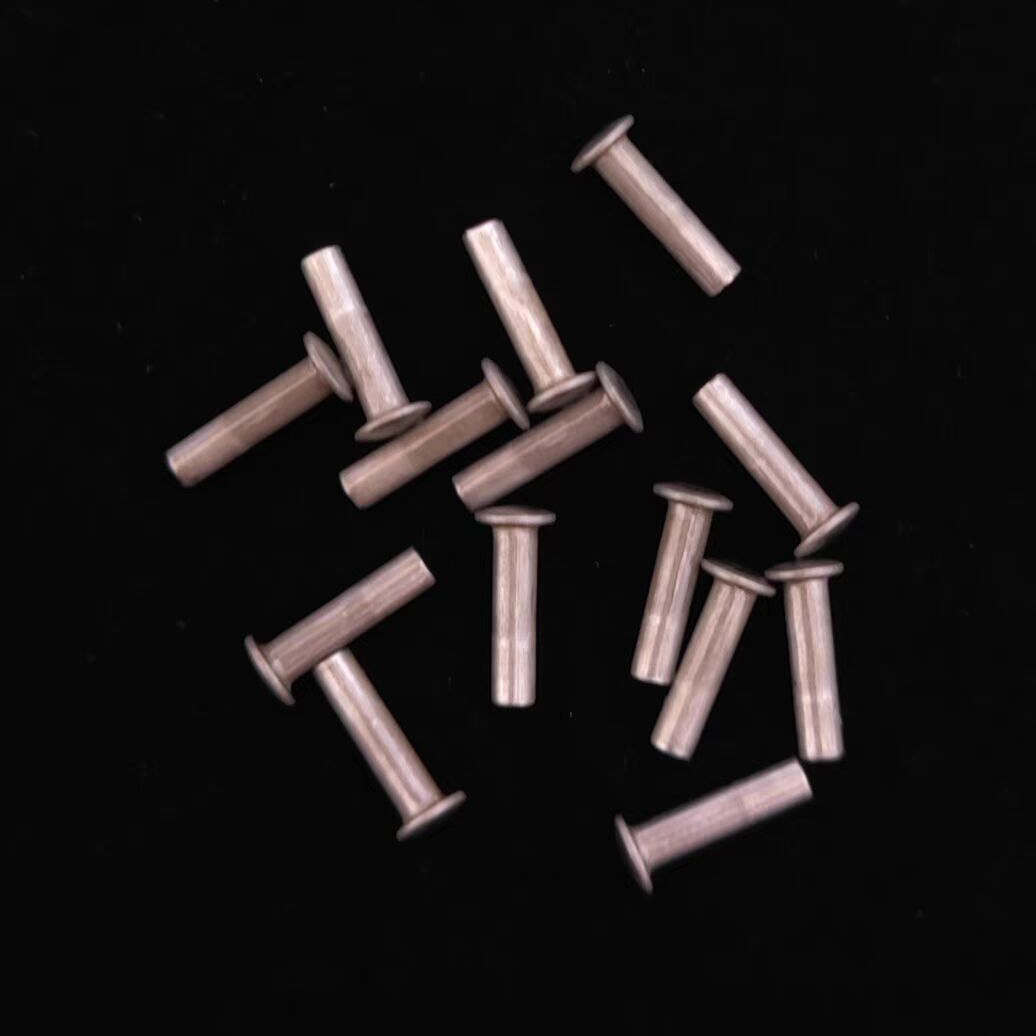 10pcs Pendulum Rivets Fit For  - Musical Instrument Zither recension och pris