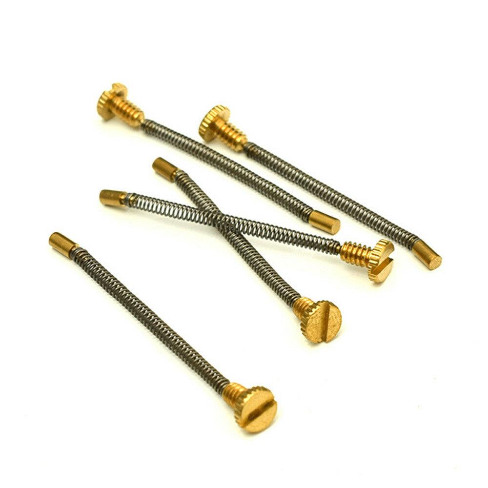 10pcs Metal Spring Screw For Z - Musical Instrument Zither recension och pris