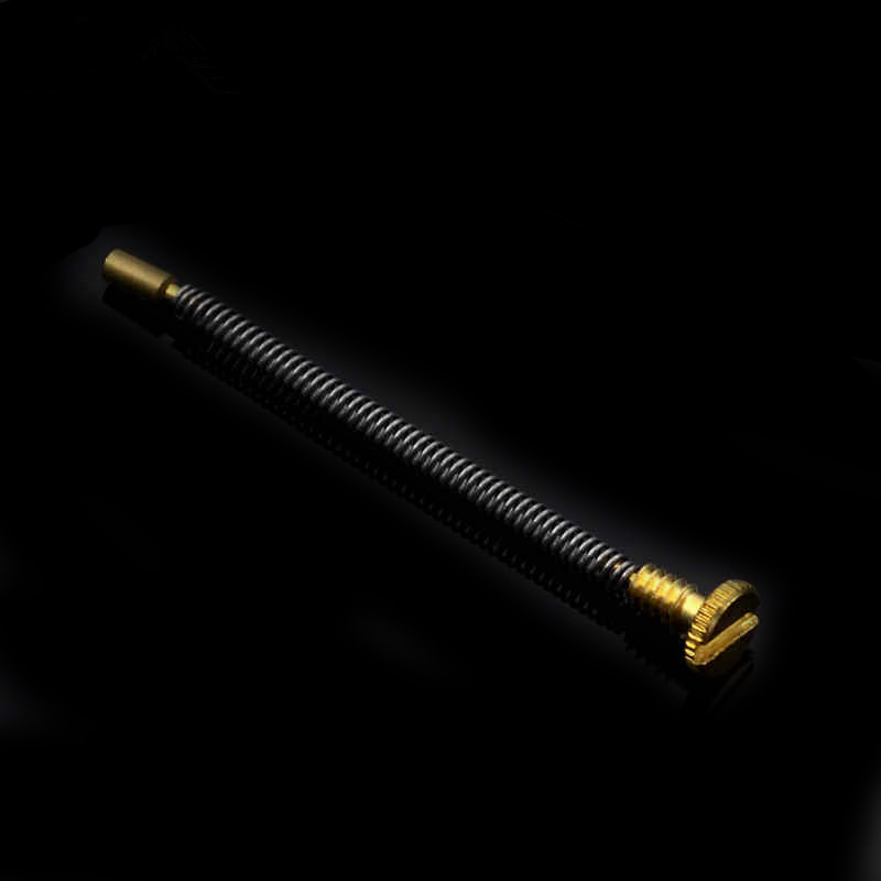 10pcs Metal Spring Screw For Z - Musical Instrument Zither recension och pris