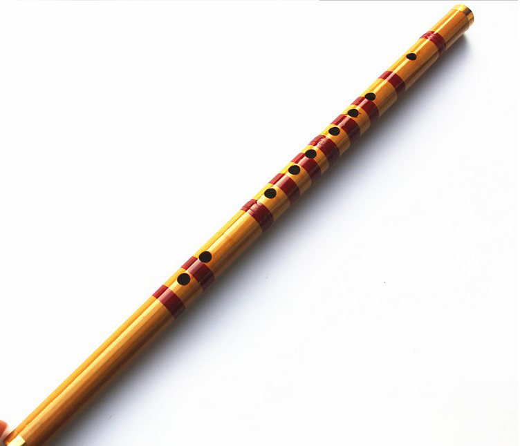 Children Learning Well Designe - Musical Instrument Piccolo recension och pris
